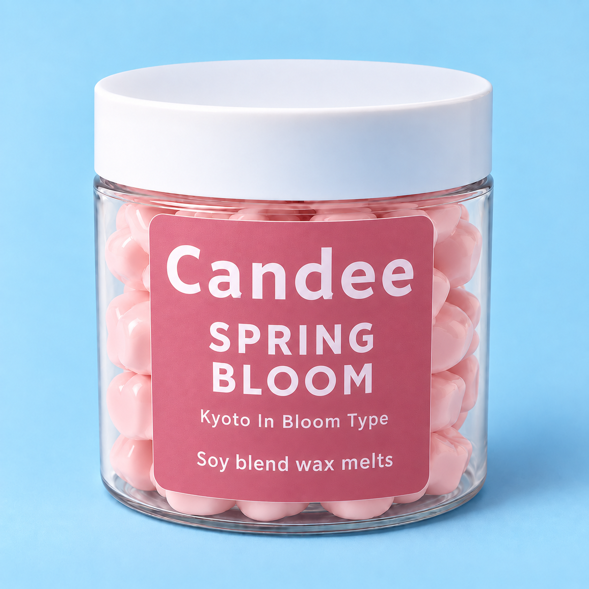 Spring Bloom | Kyoto in Bloom Type